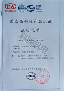 國家強(qiáng)制性認(rèn)證試驗(yàn)報(bào)復(fù)-三相異步電動機(jī)-